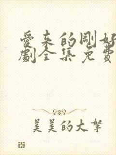 爱来的刚好电视剧全集免费观看完整版