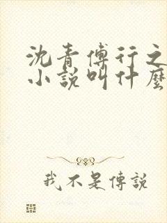 沈青傅行之原著小说叫什么名字
