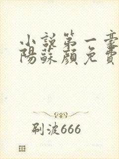 小说第一豪婿林阳苏颜免费阅读