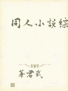 同人小说综漫封面