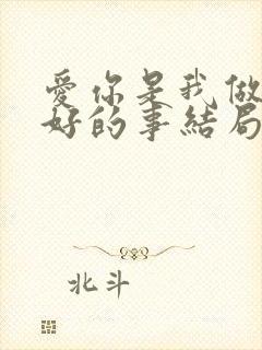 爱你是我做过最好的事结局