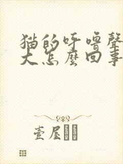 猫的呼噜声特别大怎么回事