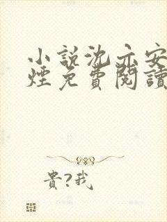 小说沈亦安叶漓烟免费阅读