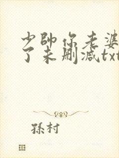 少帅你老婆又跑了未删减txt下载封面