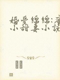 婚爱绵绵:蜜宠小甜妻小说封面