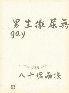 男生撒尿无遮挡gay