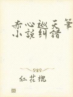 赤心巡天笔趣阁小说纠错