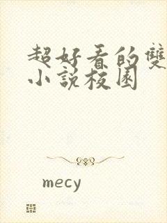 超好看的双男主小说校园封面