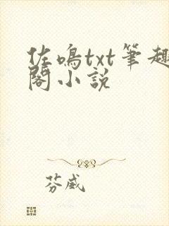 佐鸣txt笔趣阁小说封面