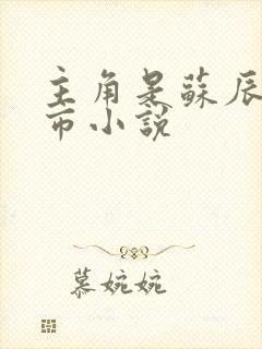 主角是苏辰的都市小说