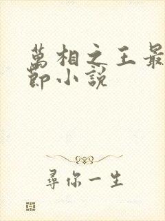 万相之王最新章节小说