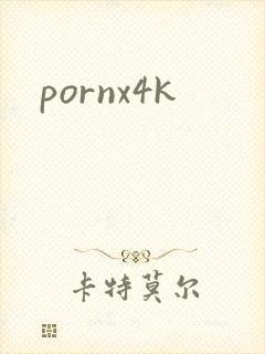 pornx4k封面