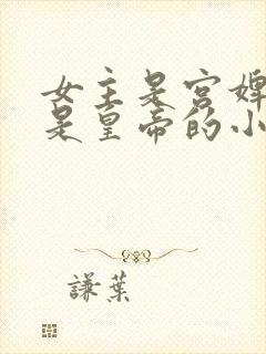 女主是宫婢男主是皇帝的小说