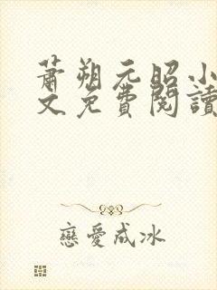 萧朔元昭小说全文免费阅读