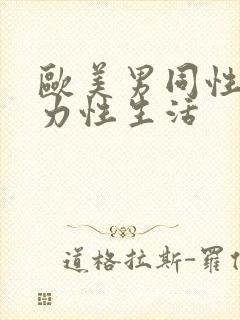 欧美男同性恋暴力性生活