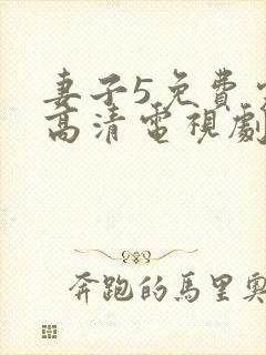 妻子5免费完整高清电视剧