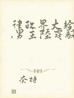 律政界大给办了,男主陆霆骁的小说封面