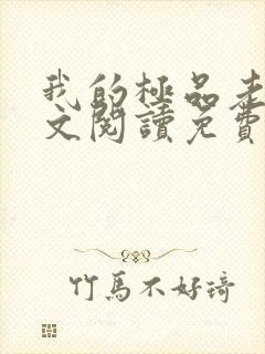 我的极品老婆全文阅读免费阅读全文