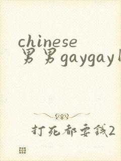 chinese男男gaygay网站