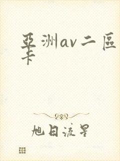 亚洲av二区不卡