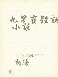 九星霸体诀龙尘 小说