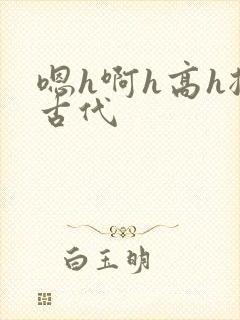 嗯h啊h高h揉古代封面