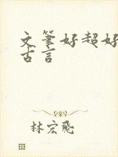 文笔好超好看的古言