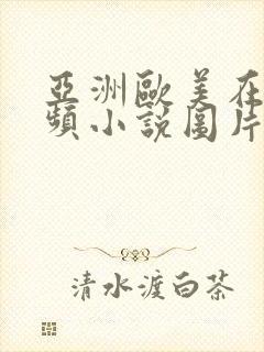 亚洲欧美在线视频小说图片封面