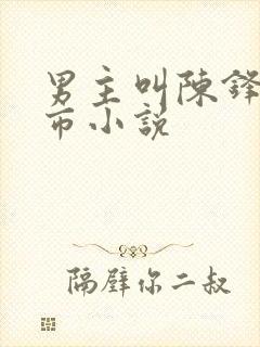 男主叫陈锋的都市小说