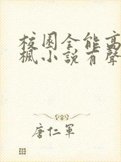 校园全能高手季枫小说有声书免费