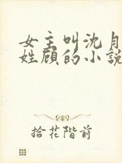 女主叫沈月男主姓顾的小说