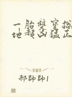 一胎双宝总裁爹地超凶猛正版封面