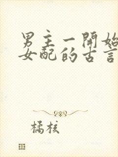 男主一开始喜欢女配的古言