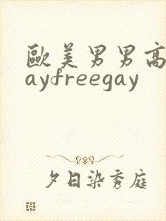 欧美男男高清gayfreegay