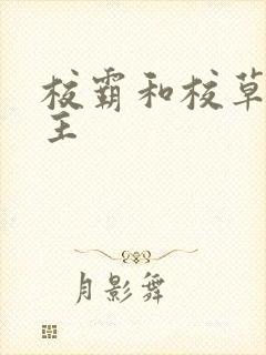 校霸和校草双男主