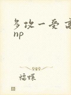 多攻一受 高h np