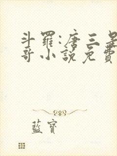 斗罗:唐三是我哥小说免费阅读