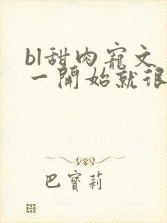 bl甜肉宠文 一开始就很宠