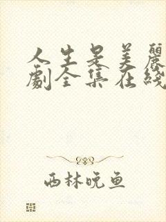 人生是美丽的韩剧全集在线观看