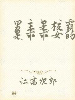 男主是校霸女主是乖乖女的校园宠文