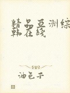 精品亚洲综合日韩在线