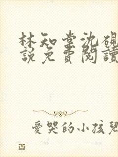 林知棠沈砚清小说免费阅读最新章节封面