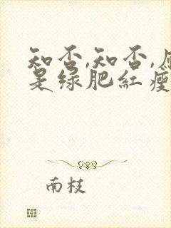 知否,知否,应是绿肥红瘦.封面