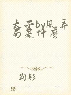 太子by风弄结局是什么