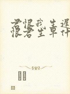 君恨我生迟,我恨君生早什么意思