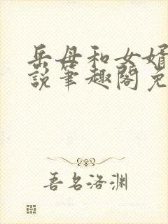 岳母和女婿的小说笔趣阁免费阅读全