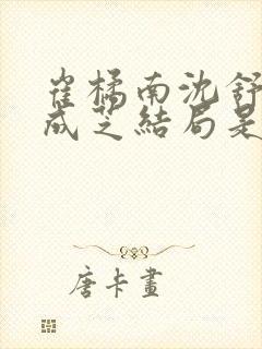 崔橘南沈舒琅沈成芝结局是什么封面