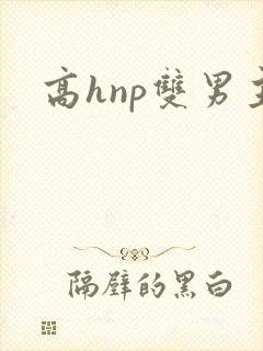 高hnp双男主封面