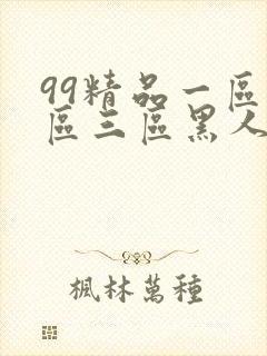 99精品一区二区三区黑人哦