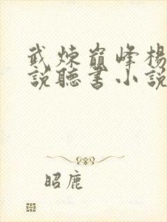 武炼巅峰杨开小说听书小说